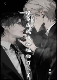 掉马后我被双胞胎盯上了(兄弟丼)