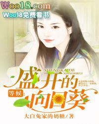 等候:盛开的向日葵