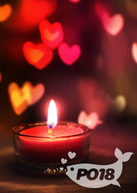 看到老板这样那样女明星之后(gl)